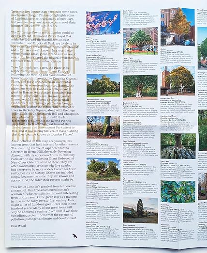 Great Trees of London