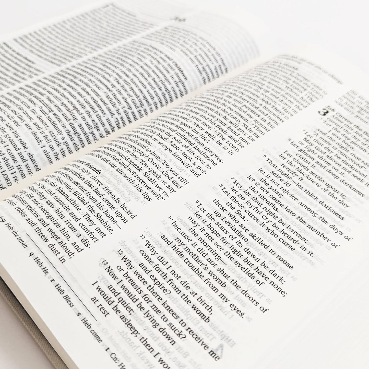 NRSVue Holy Bible – New Revised Standard Version Updated Edition (Hardback)