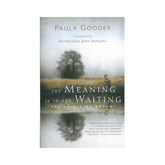 The Meaning is in the Waiting: The Spirit of Advent