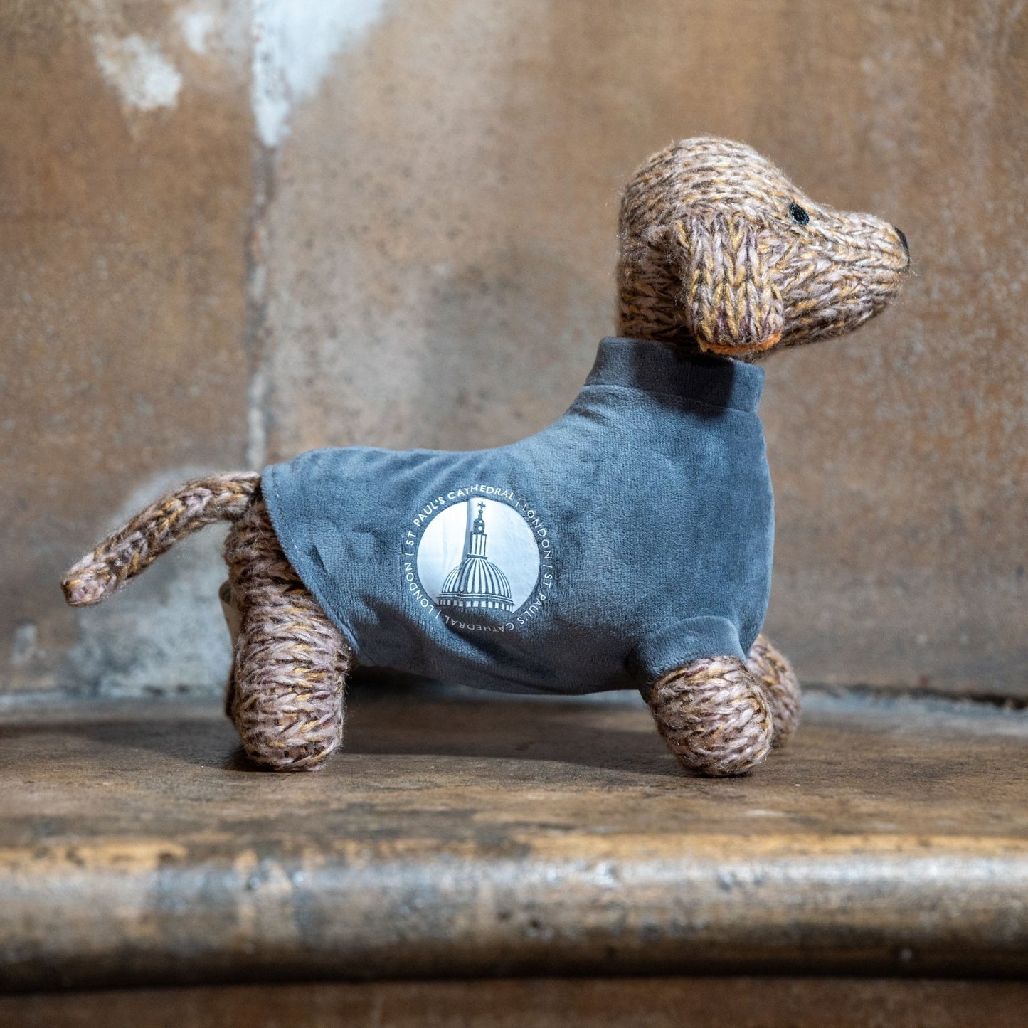 Brimble - The St Paul's Dachshund