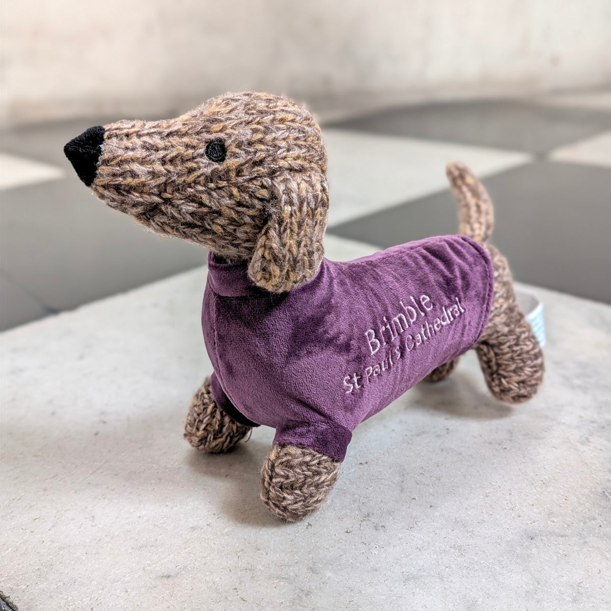 Brimble - The St Paul's Dachshund