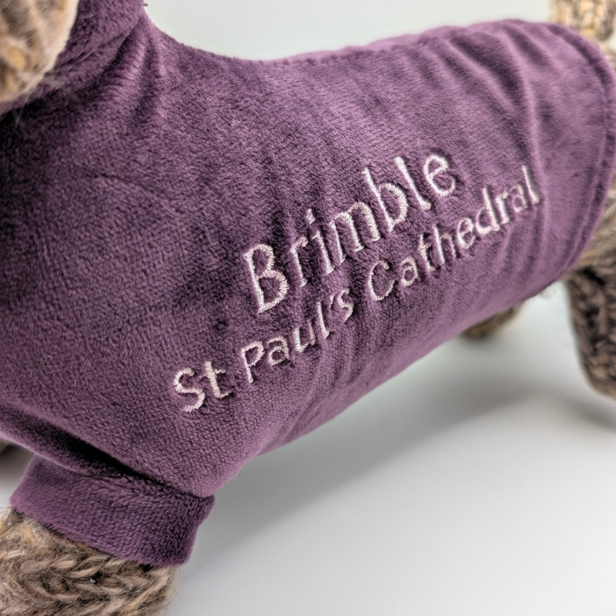Brimble - The St Paul's Dachshund