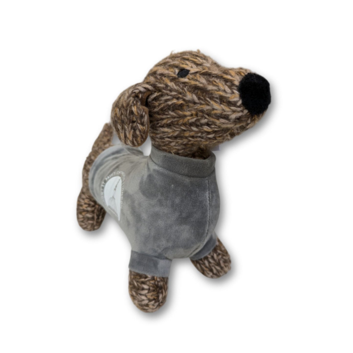 Brimble - The St Paul's Dachshund