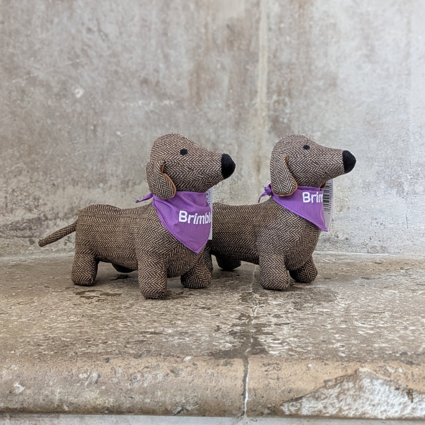 Brimble - The St Paul's Dachshund