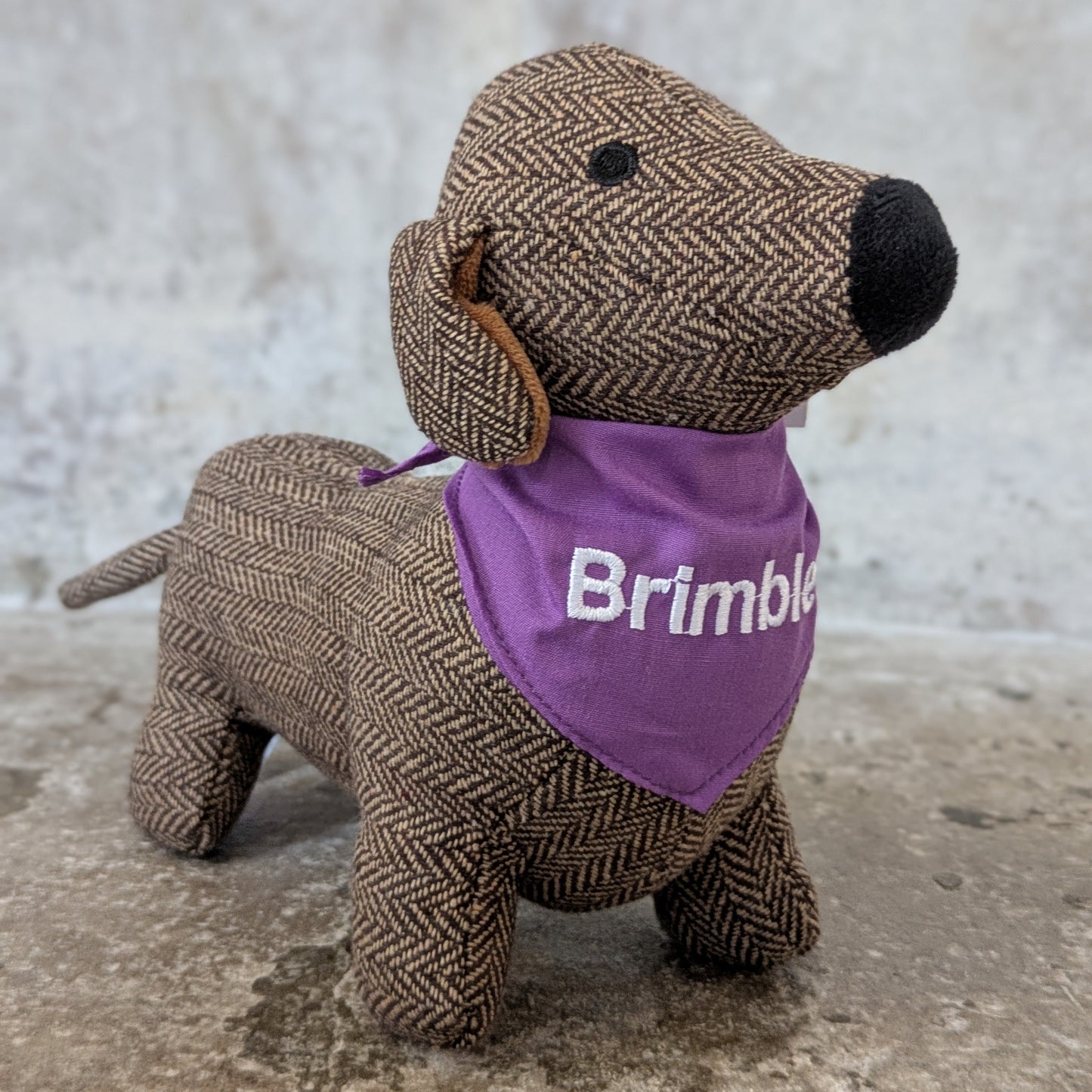 Brimble - The St Paul's Dachshund