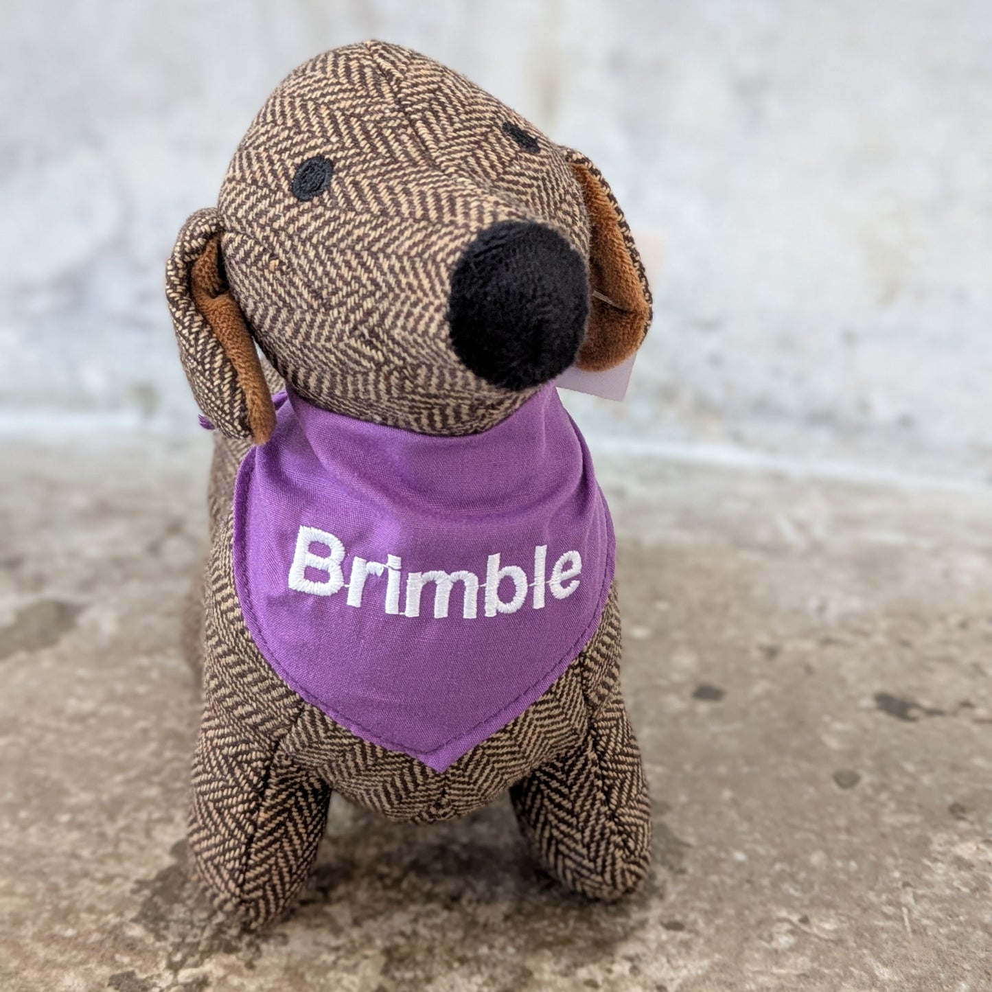 Brimble - The St Paul's Dachshund